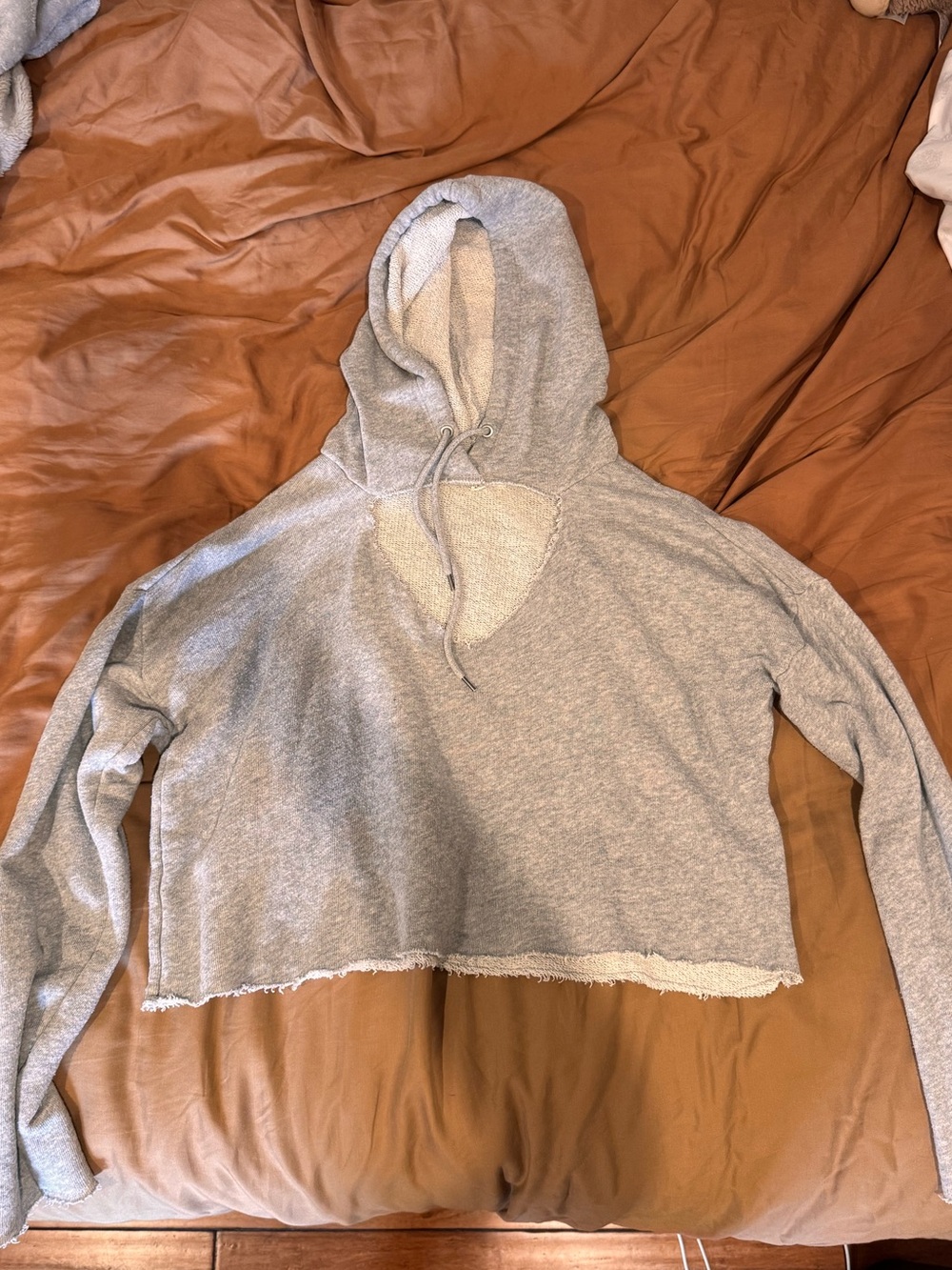 La Hearts Light Gray Cropped Hoodie